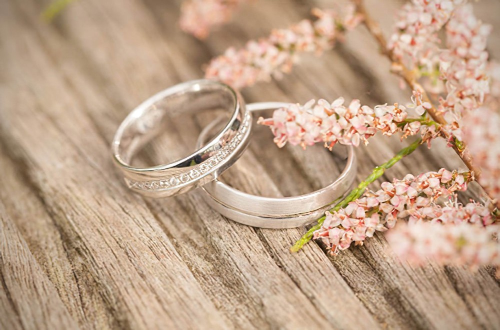 Urna pretium elit mauris cursus Curabitur at elit Vestibulum