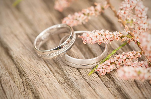 Urna pretium elit mauris cursus Curabitur at elit Vestibulum